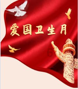影子战术将军之刃